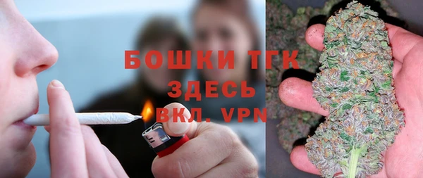 ГАЛЛЮЦИНОГЕННЫЕ ГРИБЫ Богданович