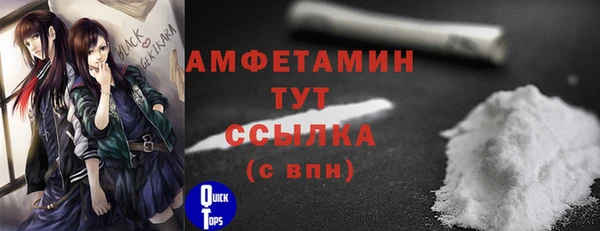 гидра Богородицк