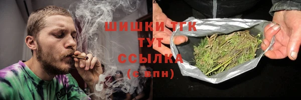 ГАЛЛЮЦИНОГЕННЫЕ ГРИБЫ Богданович