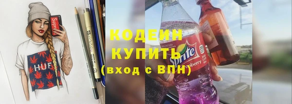 ГАЛЛЮЦИНОГЕННЫЕ ГРИБЫ Богданович