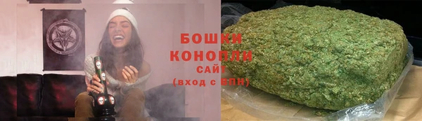 гидра Богородицк