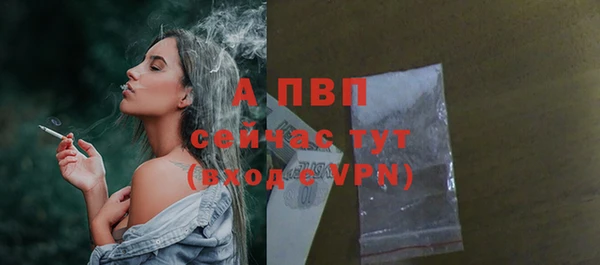 гидра Богородицк