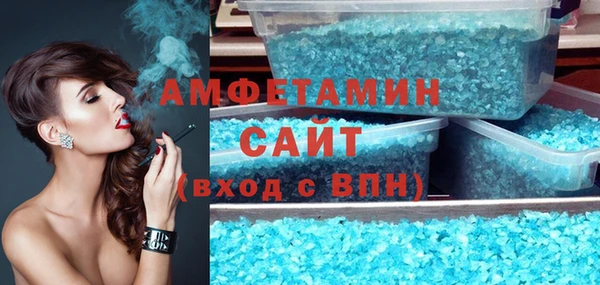 ГАЛЛЮЦИНОГЕННЫЕ ГРИБЫ Богданович