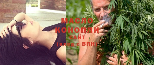 гидра Богородицк