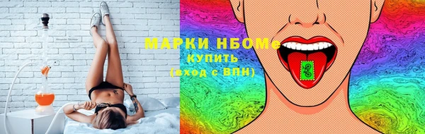 индика Дмитров