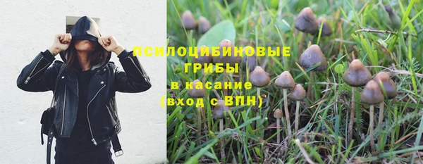 соль курить ск Богородск