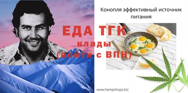 гидра Богородицк