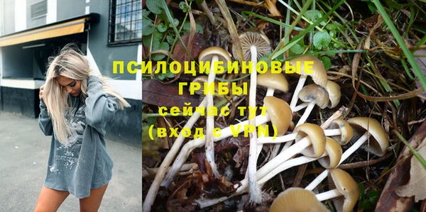 гидра Богородицк